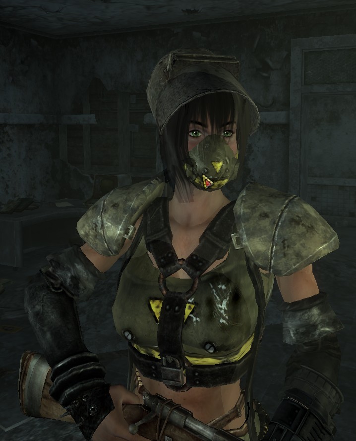 fallout 3 raider id